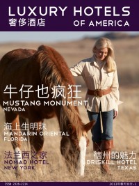 Luxury Hotels of America Winter 2013 Cover